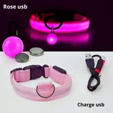 Collier LED pour Chien avec Pendentif Lumineux - Promenades de Nuit Sécurisées  (Rechargeable & Imperméable)