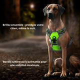 Fonctionnalités du harnais LED rechargeable pour chien