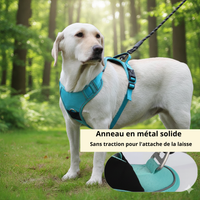 Harnais Anti-Traction avec Support AirTag Intégré – Retrouvez Votre Chien en 1 Clic + Laisse Offerte