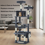 Arbre à Chat Multi-Niveaux pour Appartement - Idéal Chats Grimpeurs et Actifs