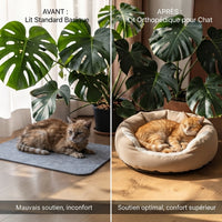 Comparaison avant-après : chat senior ébouriffé mal installé sur un tapis standard (mauvais soutien, inconfort) vs chat roux endormi paisiblement dans un lit orthopédique cocon beige moelleux (soutien optimal, confort supérieur), fond monstera.