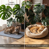 Comparaison avant-après : chat senior ébouriffé mal installé sur un tapis standard (mauvais soutien, inconfort) vs chat roux endormi paisiblement dans un lit orthopédique cocon beige moelleux (soutien optimal, confort supérieur), fond monstera.