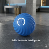 Balle Intelligente Chien - Stimulation Mentale Automatique