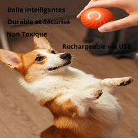 Balle Intelligente Chien - Stimulation Mentale Automatique