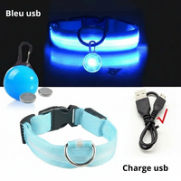 Collier LED pour Chien avec Pendentif Lumineux - Promenades de Nuit Sécurisées  (Rechargeable & Imperméable)