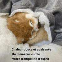 Panier Orthopédique Anti-Douleur pour Chien de Petite Taille