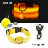 Collier LED pour Chien avec Pendentif Lumineux - Promenades de Nuit Sécurisées  (Rechargeable & Imperméable)