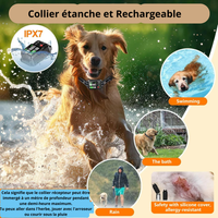 Système Anti-Fugue GPS pour Chien Fugueur - Clôture Invisible 2000M Grands Espaces