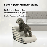 Rampe Antidérapante pour Chien Âgé - Sécurité & Autonomie Garanties