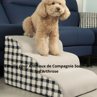 Rampe Antidérapante pour Chien Âgé - Sécurité & Autonomie Garanties