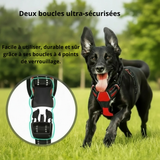 Harnais Anti-Traction Petit et Moyen Chien - Confort et Contrôle
