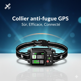 Système Anti-Fugue GPS pour Chien Fugueur - Clôture Invisible 2000M Grands Espaces