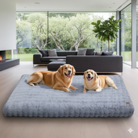 Le Sommeil de Rêve pour Votre Compagnon – Lit Moelleux Nuage Zen