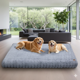 Le Sommeil de Rêve pour Votre Compagnon – Lit Moelleux Nuage Zen