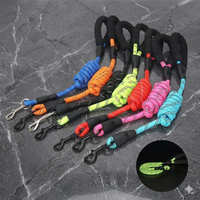 Laisse Réfléchissante Ultra-Résistante  – Sécurité & Confort pour les Promenades de Nuit