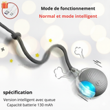 Balle Interactive pour Chat d'Intérieur qui s'Ennuie - Stimulation Automatique