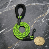 Laisse Réfléchissante Ultra-Résistante  – Sécurité & Confort pour les Promenades de Nuit