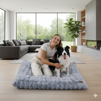 Le Sommeil de Rêve pour Votre Compagnon – Lit Moelleux Nuage Zen