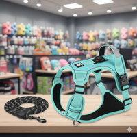 Harnais Anti-Traction avec Support AirTag Intégré – Retrouvez Votre Chien en 1 Clic + Laisse Offerte