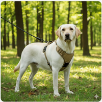 Harnais Anti-Traction avec Support AirTag Intégré – Retrouvez Votre Chien en 1 Clic + Laisse Offerte