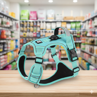 Harnais Anti-Traction avec Support AirTag Intégré – Retrouvez Votre Chien en 1 Clic + Laisse Offerte