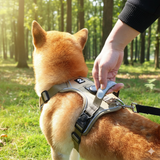 Harnais Anti-Traction avec Support AirTag Intégré – Retrouvez Votre Chien en 1 Clic + Laisse Offerte