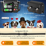 Système Anti-Fugue GPS pour Chien Fugueur - Clôture Invisible 2000M Grands Espaces