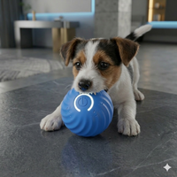 Balle Intelligente Chien - Stimulation Mentale Automatique