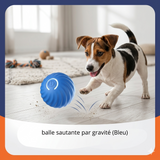 Balle Intelligente Chien - Stimulation Mentale Automatique