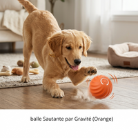 Balle Intelligente Chien - Stimulation Mentale Automatique