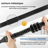 Ceinture de Sécurité pour Chien en Voiture - Idéale Voyages et Chiens Anxieux