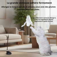 Bâton à Plume  pour Chat - Jouet Stimulant pour Chaton et Chat Adulte