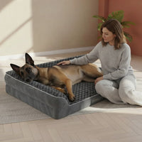 Berger belge Malinois allongé sur un lit orthopédique gris surélevé, femme qui le caresse dans un salon lumineux et épuré.