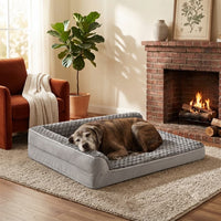 Vieux chien brun endormi paisiblement sur un grand lit orthopédique gris clair avec rebord, devant une cheminée allumée dans un salon chaleureux avec fauteuil rouge et plante verte.