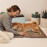  Femme souriante assise à côté de son chien senior paisiblement allongé sur un lit orthopédique imperméable gris, ambiance chaleureuse et complice à la maison.