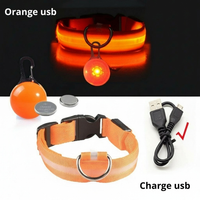 Collier LED pour Chien avec Pendentif Lumineux - Promenades de Nuit Sécurisées  (Rechargeable & Imperméable)