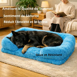 Grand chien noir endormi sur un panier bleu moelleux - améliore le sommeil, réduit l'anxiété et le stress, sentiment de sécurité.