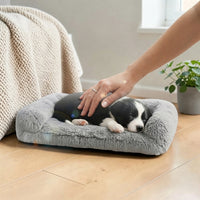 Chiot noir et blanc endormi sur un panier moelleux gris, main qui le caresse doucement, ambiance cosy et chaleureuse.
