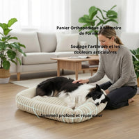 Border collie noir et blanc allongé sur un panier orthopédique beige côtelé, femme qui le caresse dans un salon lumineux, texte "Soulage l'arthrose et les douleurs articulaires - Sommeil profond et réparateur".