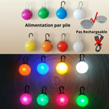 Collier LED pour Chien avec Pendentif Lumineux - Promenades de Nuit Sécurisées  (Rechargeable & Imperméable)