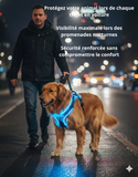 Harnais LED Rechargeable pour Chien - Promenades Nocturnes Sécurisées (Toutes Tailles)