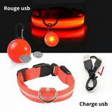 Collier LED pour Chien avec Pendentif Lumineux - Promenades de Nuit Sécurisées  (Rechargeable & Imperméable)
