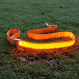 Laisse lumineuse orange