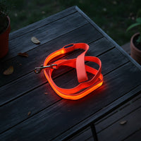 Laisse Lumineuse Rechargeable - Votre Chien Visible et Protégé la Nuit