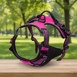 Harnais Anti-Traction Petit et Moyen Chien - Confort et Contrôle