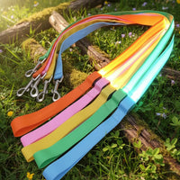 Laisse Lumineuse Rechargeable - Votre Chien Visible et Protégé la Nuit