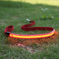 Laisse lumineuse rouge