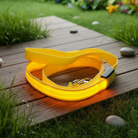 Laisse lumineuse jaune