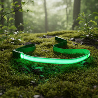 Laisse lumineuse verte