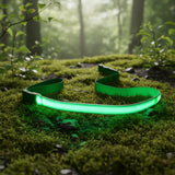 Laisse lumineuse verte